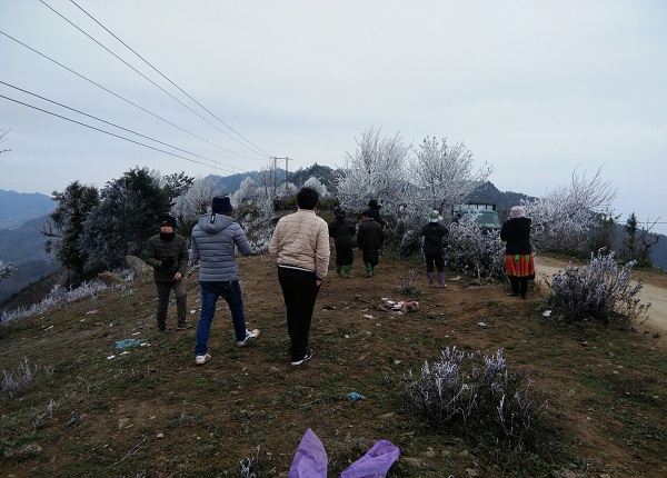 Thiếu nữ huyền ảo trong băng tuyết đỉnh Tà Xùa